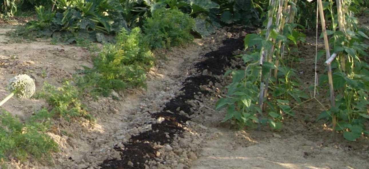 Préparez votre potager dès l'automne pour le printemps